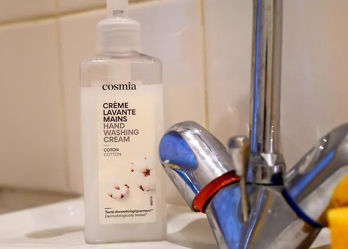 Cosy Hyper-centre * 图尔